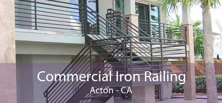 Commercial Iron Railing Acton - CA