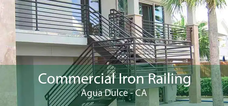 Commercial Iron Railing Agua Dulce - CA