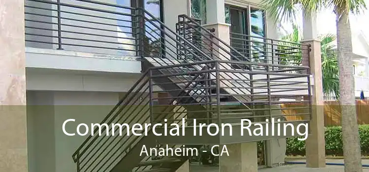 Commercial Iron Railing Anaheim - CA