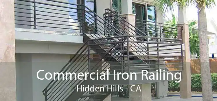 Commercial Iron Railing Hidden Hills - CA