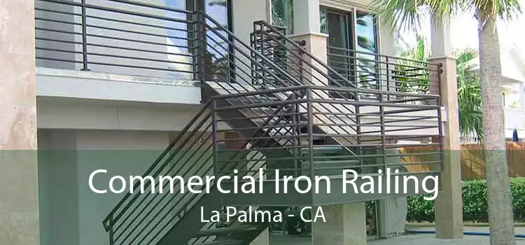 Commercial Iron Railing La Palma - CA