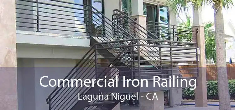 Commercial Iron Railing Laguna Niguel - CA