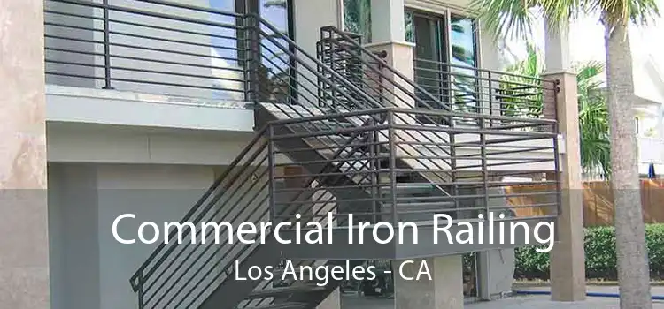 Commercial Iron Railing Los Angeles - CA