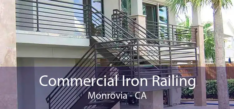 Commercial Iron Railing Monrovia - CA