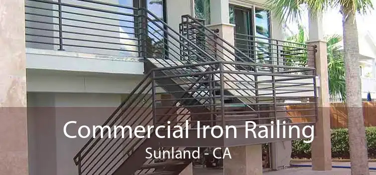 Commercial Iron Railing Sunland - CA