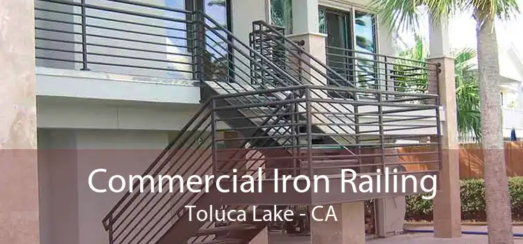 Commercial Iron Railing Toluca Lake - CA