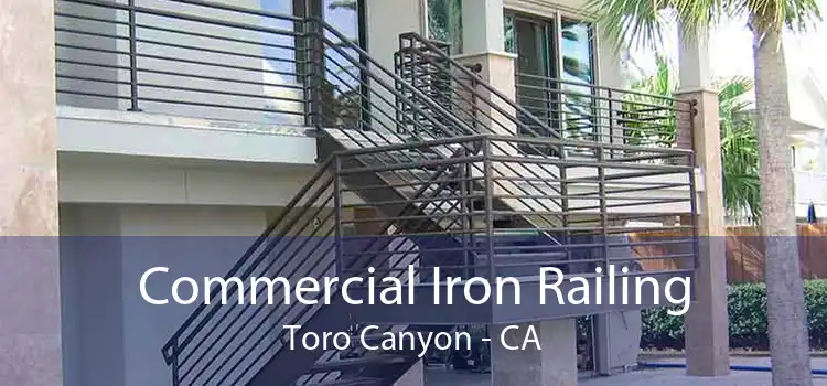 Commercial Iron Railing Toro Canyon - CA