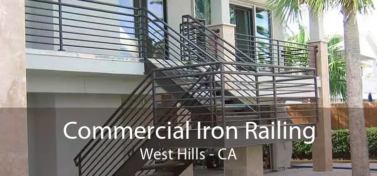 Commercial Iron Railing West Hills - CA