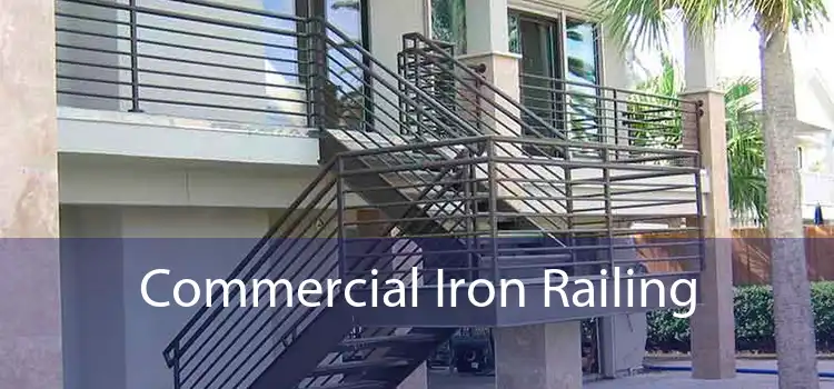 Commercial Iron Railing 