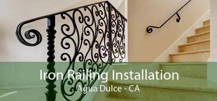 Iron Railing Installation Agua Dulce - CA