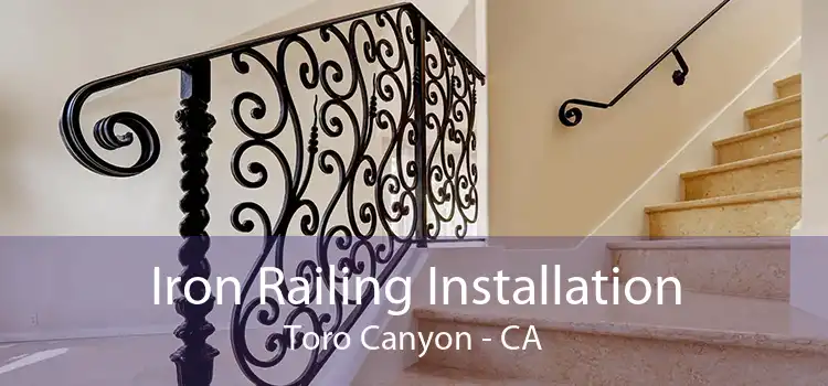 Iron Railing Installation Toro Canyon - CA