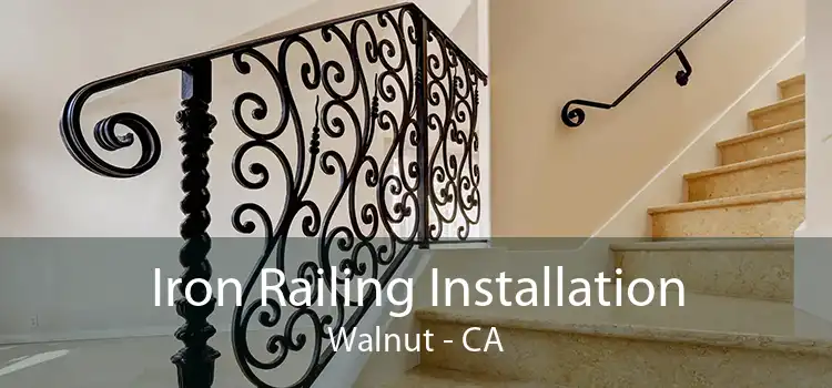 Iron Railing Installation Walnut - CA