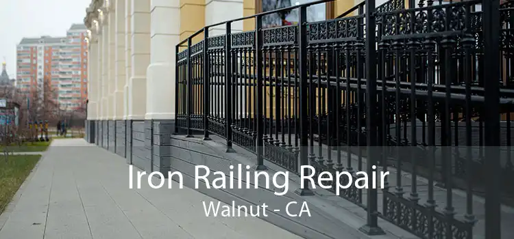 Iron Railing Repair Walnut - CA