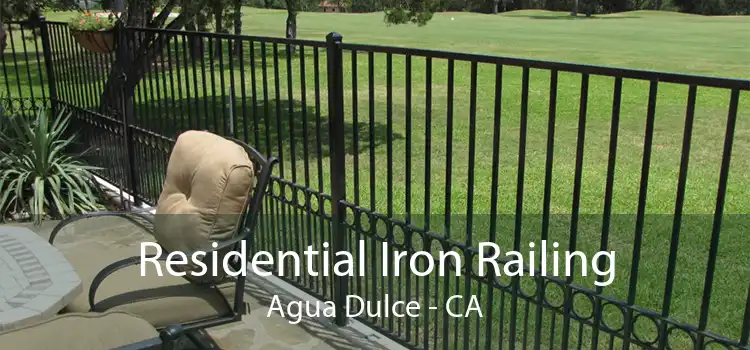 Residential Iron Railing Agua Dulce - CA