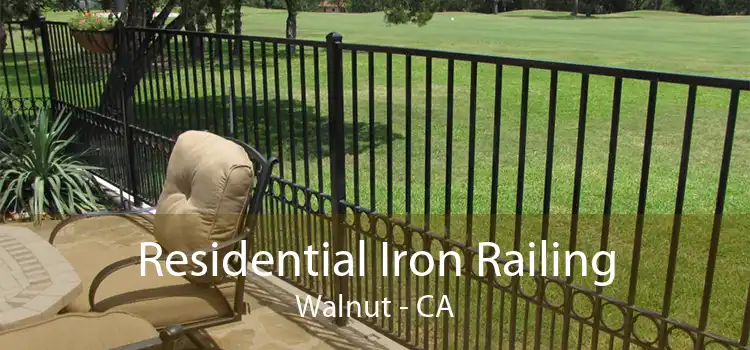 Residential Iron Railing Walnut - CA